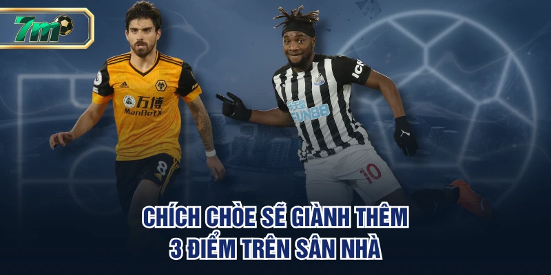 Chích Chòe sẽ giành thêm 3 điểm trên sân nhà