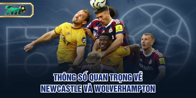 Thông số quan trọng về Newcastle và Wolverhampton